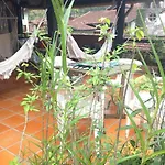 Deliciosa Beach House, 100M Do Mar, 8 Pessoas, Em Picinguaba